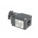 Limit switch | plastic roller Ø20mm | NO + NC | 6A | 400VAC | PG11 image 4