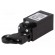 Limit switch | plastic roller Ø22mm | NO + NC | 10A | max.250VAC image 1