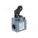 Limit switch | plastic roller Ø22mm | NO + NC | 10A | max.500VAC image 1