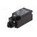 Limit switch | plastic roller Ø9,5mm | NO + NC | 10A | max.240VAC paveikslėlis 2