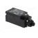Limit switch | plastic roller Ø9,5mm | NO + NC | 10A | max.240VAC paveikslėlis 8