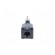 Limit switch | plunger on spring loaded element R 106mm | 10A image 5