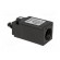 Limit switch | polymer roller Ø11mm | NC x2 | 10A | max.250VAC | IP67 image 4