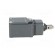 Limit switch | rubber seal,steel roller Ø13mm | NO + NC | 6A | PG11 image 7