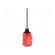 Limit switch | spring, total length 116,8mm | NO + NC | 5A | PG11 image 1