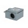 Limit switch | steel roller Ø12mm | NO + NC | 10A | max.500VAC | IP67 image 4