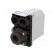 Module: pressure switch | pressure | OUT 1: 3PST-NC | IP rating: IP65 фото 1