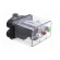 Module: pressure switch | pressure | OUT 1: relay,SPDT | 240VAC/1.5A image 9