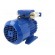 Motor: AC | 1-phase | 0.37kW | 230VAC | 1370rpm | 2.6Nm | IP54 | 2.9A | arms image 6