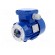 Motor: AC | 60W | 230/400VAC | 1400rpm | continuous operation S1 | IP54 image 2