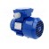 Motor: AC | 60W | 230/400VAC | 1400rpm | continuous operation S1 | IP54 image 4