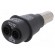 Adapter | 4mm | Cap: B15 image 1