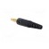 Plug | 4mm banana | 10A | 33VAC | 70VDC | black | Max.wire diam: 2mm image 4