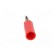 Plug | 4mm banana | 10A | 50VDC | red | non-insulated | for cable | 3.5mm2 paveikslėlis 5