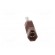 Plug | 4mm banana | 16A | 50VDC | brown | for cable | 2.5mm2 image 5