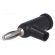 Plug | 4mm banana | 24A | 60VDC | black | Connection: 4mm socket | 39mm image 1