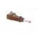 Plug | 4mm banana | 32A | 600V | brown | 2.5mm2 | on cable image 8