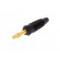 Plug | 4mm banana | 32A | 60VDC | black | non-insulated | for cable | 3mΩ paveikslėlis 2