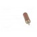 Adapter | 2mm banana | 10A | 70VDC | brown | nickel plated | 35.5mm image 9