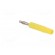 Plug | 2mm banana | 10A | 33VAC | 70VDC | yellow | nickel plated | Ø: 2mm image 4