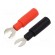 Fork terminals | 60VDC | 5A | black,red | 30VAC | 2pcs | 2mm image 1