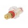 Socket | 3mm banana | 60A | 54.5mm | red,transparent | gold-plated фото 6