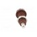 Socket | 4mm banana | 10A | 250VAC | 28.5mm | brown | nickel plated | 10mΩ image 5