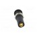 Socket | 4mm banana | 16A | 6000V | black | gold-plated | on panel image 5