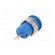 Socket | 4mm banana | 24A | 1kV | Cutout: Ø12.2mm | blue | nickel plated image 6