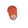 Socket | 4mm banana | 24A | 1kV | red | nickel plated | on panel,push-in image 5
