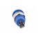 Socket | 4mm banana | 24A | blue | nickel plated | on panel,screw | 34mm image 5