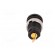 Socket | 4mm banana | 25A | 1kVDC | black | gold-plated | screw | 32mm image 5
