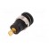 Socket | 4mm banana | 25A | 1kVDC | black | gold-plated | screw | 32mm image 6