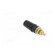 Socket | 4mm banana | 32A | 1kV | black | gold-plated | insulated image 4