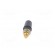 Socket | 4mm banana | 32A | 1kV | black | gold-plated | insulated image 5