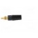 Socket | 4mm banana | 32A | 1kV | black | gold-plated | insulated image 7