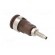 Socket | 4mm banana | 32A | 1kV | Cutout: Ø12.2mm | brown | nickel plated фото 4