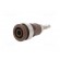 Socket | 4mm banana | 32A | 1kV | Cutout: Ø12.2mm | brown | nickel plated фото 2