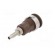 Socket | 4mm banana | 32A | 1kV | Cutout: Ø12.2mm | brown | nickel plated фото 6