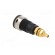 Socket | 4mm banana | 32A | 1kVDC | black | gold-plated | screw | 39mm image 4