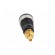 Socket | 4mm banana | 32A | 1kVDC | black | gold-plated | screw | 39mm image 5