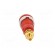 Socket | 4mm banana | 32A | 1kVDC | red | gold-plated | screw | 39mm paveikslėlis 5