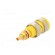 Socket | 4mm banana | 32A | 1kVDC | yellow | gold-plated | screw | 39mm image 6