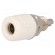 Socket | 4mm banana | 32A | 60VDC | white | nickel plated | insulated image 1