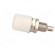 Socket | 4mm banana | 32A | 60VDC | white | nickel plated | insulated image 3