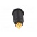 Socket | 4mm banana | 32A | black | gold-plated | screw,on panel | 32mm image 5