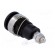 Socket | 4mm banana | 32A | black | nickel plated | screw,on panel image 4