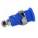 Socket | 4mm banana | 32A | blue | nickel plated | screw,on panel image 7