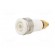 Socket | 4mm banana | 32A | grey | gold-plated | Overall len: 38.5mm image 2