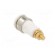 Socket | 4mm banana | 32A | grey | gold-plated | Overall len: 38.5mm image 4